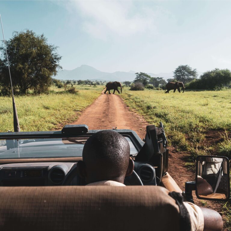 Elephants crossing a red dirt road in Tsavo